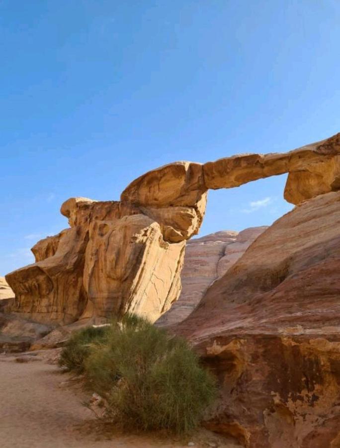 Hotel Moon Night Camp Wadi Rum Exteriér fotografie